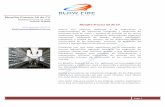 Blowfire Process SA de CV · 2020. 4. 22. · Mexicana MRO Services. Mantenimiento, reubicación puesta en marcha de 2 secadores de aire comprimido DLB DE 1,100 Y 1,600 scfm. N o