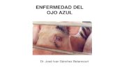 ENFERMEDAD DEL OJO AZUL - UNAMcongreso.fmvz.unam.mx/pdf/memorias/Congreso CV Cerdos/OJO...OJO AZUL Mononegavirales Paramixoviridae Paramixovirinae Rubulavirus Genoma: L 200K (6782)