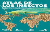 ATLAS DE LOS INSECTOS - transicionverde.es · Ahora también los insectos están en el punto de mira de la ingeniería genética. 52 UN MUNDO SIN INSECTOS LA TECNOLOGÍA NO VA A SALVARNOS