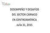 DESEMPEÑO Y DESAFÍOS DEL SECTOR CÁRNICO EN …canicarne.com/wp-content/uploads/2015/08... · Tamaño del hato bovino centroamericano Hato Cantidad Cabezas Fincas Países (Millones)