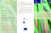 V MÓDULO EUROPEO Medio Ambiente y Derecho Comunitario: el Desarrollo Sostenible · 2009. 2. 18. · TEMAVII:La legislación sectorial (I). TEMA VIII: La legislación sectorial (II).