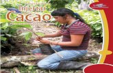 AApAp reendiendo a endiendo a Cacadenacacaoca.info/CDOC-Deployment/documentos/... · 2014. 6. 2. · 2 Esta cartilla “Aprendiendo a Injertar Cacao” está dirigida a productoras