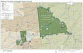 Watson's East Triangle Wild Forest Map · 2018. 8. 21. · Watson's East Triangle Wild Forest Watson East T riang l eW d Fo st Other Forest Preserve land Conservation Easement* Parking