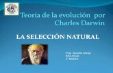 Teorías de la evolución propuestas por Charles Darwinliceojavieracarrera.cl/attachments/article/178/SELECCION... · 2020. 6. 19. · Darwin & Wallace postularon el mecanismo de