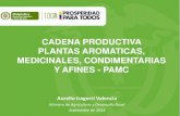 CADENA PRODUCTIVA PLANTAS AROMATICAS, MEDICINALES, … · 2019. 6. 25. · 1.1.3 Empleo directo generado en la actividad de cultivo ... Cuervo, Jairo Leornardo. (2012). Manual de
