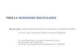 TEMA 5.4. MUTACIONES MOLECULARESumh1163.edu.umh.es/.../838/2018/02/Tema-5.4.-Mutaciones.pdf · 2018. 2. 25. · TEMA 5.4. MUTACIONES MOLECULARES . Mutaciones: cambios permanentes