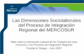Declaración de los Ministros de Trabajo del MERCOSURrialnet.org/sites/default/files/Argentina ESP.pdf · 2019. 10. 18. · –Plan Regional de Inspección de Trabajo (PRIT), aprobado