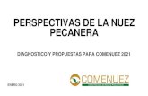 PERSPECTIVAS DE LA NUEZ PECANERA - comenuez.comcomenuez.com/assets/perspectivas-nuez-pecanera-2021.pdf · •La producción de Nuez del Sureste de USA no se exporta a China y se queda