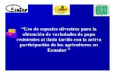 Ecuador ” participación de los agricultores en resistentes al tizón …... · 2017. 5. 3. · Objetivo Aumentar la producción de papa de una forma económica, sostenible y saludable