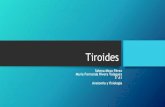 Tiroides - s4f1d769cf586f6c7.jimcontent.coms4f1d769cf586f6c7.jimcontent.com/download/version/1448434403/… · Foliculares: Triyodotironina (T3) Tetrayodotironina o tiroxina (T4)