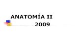 ANATOMÍA II 2009 - UBA · La Cátedra “on line” La Web  El Foro  El Blog