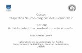 Curso: “Aspectos Neurobiológicos del Sueño”2017 · 2019. 3. 26. · Curso: “Aspectos Neurobiológicos del Sueño”2017 Teórico: Actividad eléctrica cerebral durante el