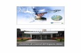Instituto de Control del Espacio Aéreo. CIAC11... · 2013. 9. 10. · Aéreo (ICEA) para la prestación de los Servicios de Navegación Aérea (ANS) en Brasil. Coronel Av Ricardo