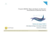 Proyecto MAPEX: Mapa estratégico de Atención Farmacéutica al … · 2016. 2. 4. · Ascendo Consulting Sanidad & Farma - Proyecto MAPEX ©2015 Ascendo Consulting Sanidad & Farma.