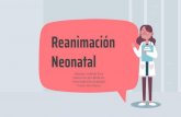 Neonatal Reanimación · 2020. 12. 4. · Habilidades de comportamiento claves del programa de reanimación neonatal. 7. 8 En cada nacimiento debe haber al menos una persona capacitada
