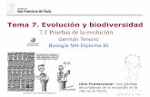 Tema 7. Evolución y biodiversidaddpbiologia.weebly.com/uploads/2/1/5/5/21553524/gtp_t7... · 2019. 3. 12. · 3 500 Ma), seguidos de hongos, plantas y animales. Los mamíferos placentarios