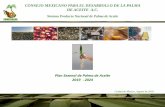 Presentación de PowerPoint - Comite Nacional de Palma · 2020. 1. 13. · 2 Antecedentes de Palma de aceite en México 1948: Primera siembra de palma de aceite en México. 1982: