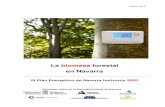 201603 La biomasa forestal en Navarra - nafarroa.gob.es · La biomasa forestal en Navarra III Plan Energético de Navarra horizonte 2020 Marzo 2016 1 INTRODUCCIÓN El Gobierno de