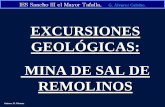 EXCURSIONES GEOLÓGICAS: MINA DE SAL DE REMOLINOSdocentes.educacion.navarra.es/ralvare2/Minasalremolinos.pdfTajo de explotación: 5,80 m. Por debajo hay todavía 100 m de espesor de
