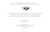 COMPRENSIÓN DEL MUESTREO Y LA DISTRIBUCIÓN COMPRENSIÓN DE GRÁFICOS ESTADÍSTICOSenfoqueontosemiotico.ugr.es/tesis/Tesis_BegueNuria.pdf · 2019. 12. 4. · 2.4. Comprensión del
