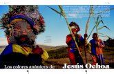 Jesús Ochoa - Prensa Cultural · 2010. 11. 16. · “En el pueblo de Chuao, iba a ocurrir la fiesta de los diablos danzantes. Aquí en Venezuela tenemos 12 cofradías de los diablos