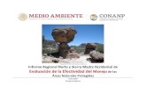 Consejo Nacional de Áreas Naturales Protegidas - Fotografía ......Evaluación de la Efectividad del Manejo de las Áreas Naturales Protegidas de México Primer Informe Nacional Junio