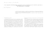 Las especies de Brúquidos (gorgojos de las leguminosas) de ...home.sandiego.edu/~gmorse/pdfs/219.pdfLas especies de Brúquidos (gorgojos de las leguminosas) de interés agrícola