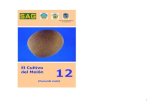 Banco Interamericano de Desarrollo-El-cultivo-del-melon,-G.pdf · Para el buen establecimiento de la plantación el método de siembra para el melón es la siembra directa. Para la