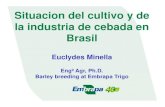 Situacion del cultivo y de la industria de cebada en Brasil...Oct 30, 2012  · JAN FEV MAR ABR MAI JUN JUL AGO SET OUT NOV DEZ mm) 21,0 24,0 27,0 30,0 °C) Temp. média Normal Temp.
