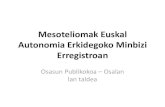 Mesoteliomak Euskal Autonomia Erkidegoko Minbizi Erregistroan · 2016. 11. 23. · UAP emakumeak: +3,04% urtero . Topografia C30-39 Arnas sistema, torax barnea C48 Retroperitoneum;