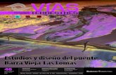 Estudios y diseño del puente Barra Vieja-Las Lomasamivtac.org/revistas/VT46.pdftor de Operación de Mexicana de Presfuerzo, S.A. de C.V. El nuevo puente Barra Vieja-Las Lomas, ubicado