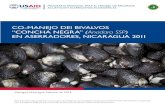 CO-MANEJO DEl BIVALVOS “CONCHA NEGRA” Anadara SSP EN …repositorio.uca.edu.ni/1470/1/2012_co_manejo_de_bivalvo.pdf · 2014. 10. 30. · Co-manejo del Bivalvos “Concha Negra”