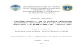 CADENA PRODUCTIVA DE Anadara tuberculosamet.igp.gob.pe/publicaciones/2016/10Tesis_Jose_Azabache.pdf · 2016. 11. 3. · xi Cadena productiva de Anadara tuberculosa (Sowerby 1833)
