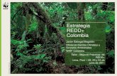 Estrategia REDD+ Colombia · 2020. 5. 29. · F-n Taller : Mejores Prácticas de REDD+ Lima, Perú – 22, 23 y 24 de junio de 2011 Estrategia REDD+ Colombia Javier Sabogal Mogollón