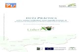 Guía Práctica LiderA GVSgranvega.es/wp-content/uploads/2014/12/Guía-Práctica... · 2014. 12. 1. · enfoques de medioambiente, sostenibilidad y género y juventud. 4- Beneficiarios