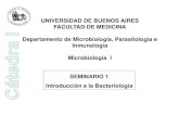 UNIVERSIDAD DE BUENOS AIRES FACULTAD DE MEDICINA ... 1 C2 2020.pdfBacterias (del griego, bakteria = bastón, vara pequeña) Las bacterias pueden definirse como organismos unicelulares