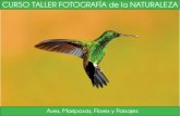 Sociedad Caldense de Ornitología · 2014. 6. 28. · Calen Rowell (Mountain Light) y Ansel Adams Guia Profesional en furismo de naturaleza y Cerenfe de dirding ... La asistercia