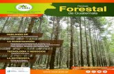 Revista Forestal de Guatemalaportal.inab.gob.gt/images/revista_forestal/Revista...OPINIÓN Revista Forestal de Guatemala 4 Instituto Nacional de Bosques -INAB- E l hombre históricamente
