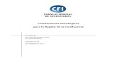 Lineamientos estratégicos para la Región de la Confluenciabiblioteca.cfi.org.ar/.../2018/...confluencia-informe-final-28-09-2017.pdf · CFI Región Confluencia - Informe Final 6