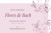 Flores de Bach...Flores de Bach Nuestro diplomado se enfoca en comprender el sistema terapéutico de las Flores de Bach desde la filosofía del Dr. Edward Bach con una orientación