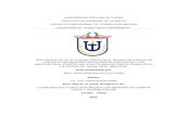 UNIVERSIDAD PRIVADA DE TACNA ESCUELA PROFESIONAL DE …repositorio.upt.edu.pe/bitstream/UPT/1491/1/Luna-Pineda... · 2020. 10. 14. · universidad privada de tacna facultad de ciencias
