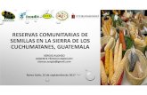 Bancos de Semillas Guatemala - Community Seed Banks in ...€¦ · RESERVAS COMUNITARIAS DE SEMILLAS EN LA SIERRA DE LOS CUCHUMATANES, GUATEMALA Roma Italia, 22 de septiembre de 2017