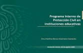 Programa Interno de Protección Civil en instituciones educativas - …€¦ · Gases (LP, gases para laboratorios) Equipos de seguridad Señalización Estructural Plan General de