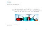 GUÍA DE LABORATORIO INTRODUCCIÓN A LA QUÍMICA ...ciencias.ubiobio.cl/quimica/web/wp-content/uploads/2018/...1 DEPARTAMENTO DE QUÍMICA FACULTAD DE CIENCIAS UNIVERSIDAD DEL BIO-BIO