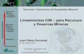 Mineras Probadas Probables Lineamientos CIM para Recursos y Reservas Mineras · 2013. 9. 8. · Recursos y Reservas Mineras Lineamientos de Buenas Practicas para Exploracion Minera