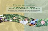 Un tema focal del DED en Desarrollo Agropecuario Sostenible · 2020. 3. 27. · Bolivia como a nivel del DED. El desarrollo de un concepto de sistemas agroforestales aplicable por