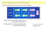 Tema IX: Transporte externo en Catálisis Heterogénea … · 2014. 7. 14. · 1 1 1 1 1 Tema IX: Fenomenología y Mecanismo de la Catálisis Heterogénea. Fenómenos de superficie: