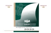 Programa Anual 2020 - Gob · 2020. 1. 28. · 2 Programa Anual 2020 Objetivo Establecer los Proyectos, Líneas de Acción y Metas, que permitan el cumplimiento de los Objetivos Institucionales,