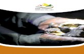 MEMORIA - Cumbre del Sajama S.A....conflictividad de producción minera. 42 Exposiciones en paneles / Ejetemático económico Uso de la regalía minera aurífera: “Caso municipio