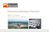 Panorama Siderúrgico Nacional · 2018. 6. 15. · Ternium en México Líder en el mercado nacional Proceso # Líneas Capacidad (Mtons /año) Peletizado 2 4,000 Acero Crudo 3 3,920
